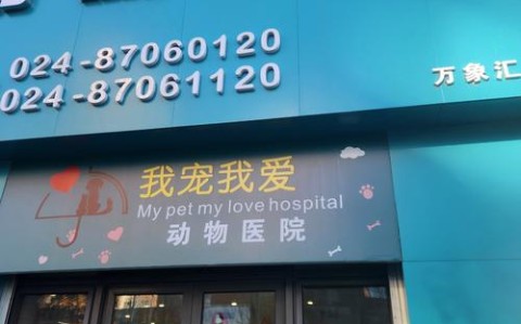 宠物医院相亲角（宠物医院系列）