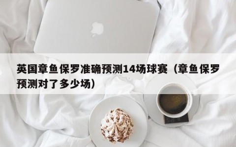英国章鱼保罗准确预测14场球赛（章鱼保罗预测对了多少场）