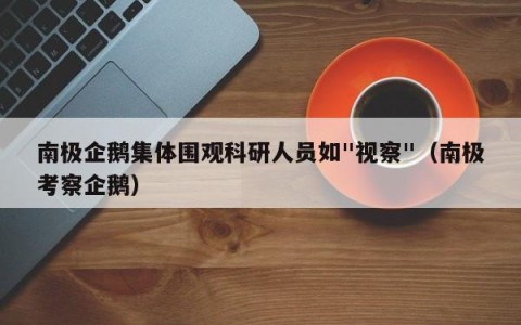 南极企鹅集体围观科研人员如"视察"（南极考察企鹅）