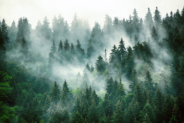 必看教程“闲逸斗地主可以确实有挂（透视）确实可以开挂