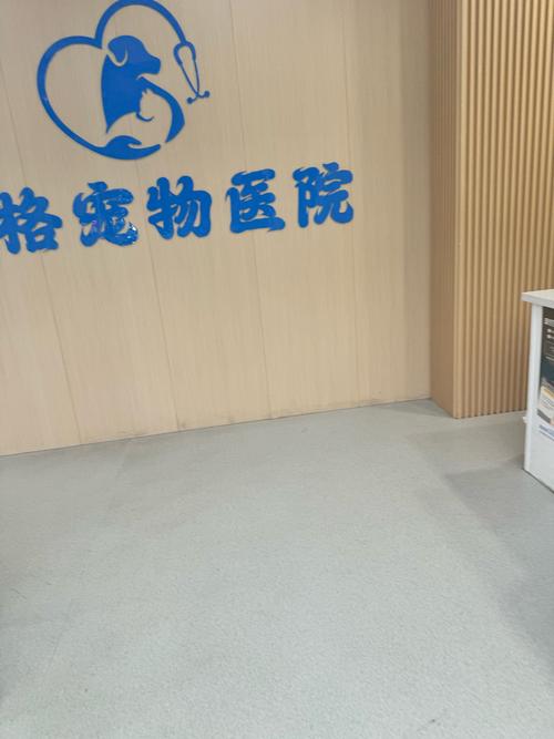 宠物医院相亲角（宠物医院系列）