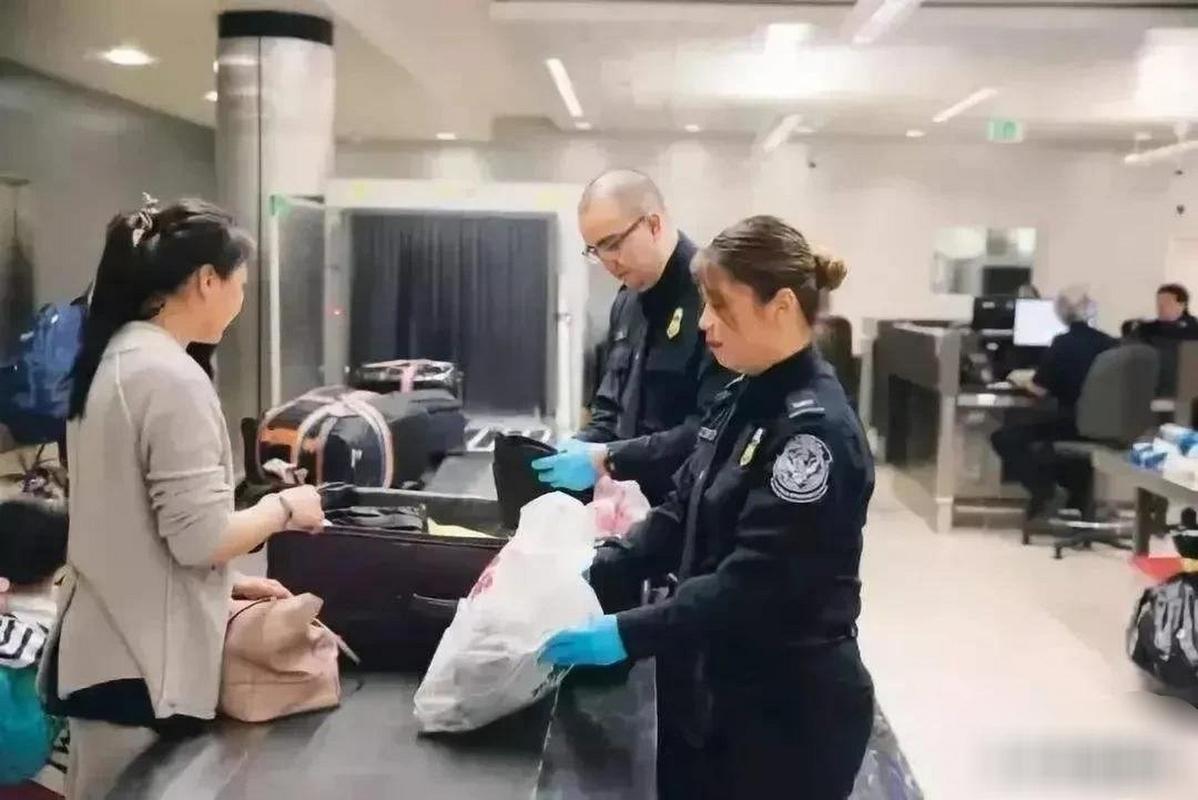 美突击检查韩国工厂(6美突击检查中国赴美人员)