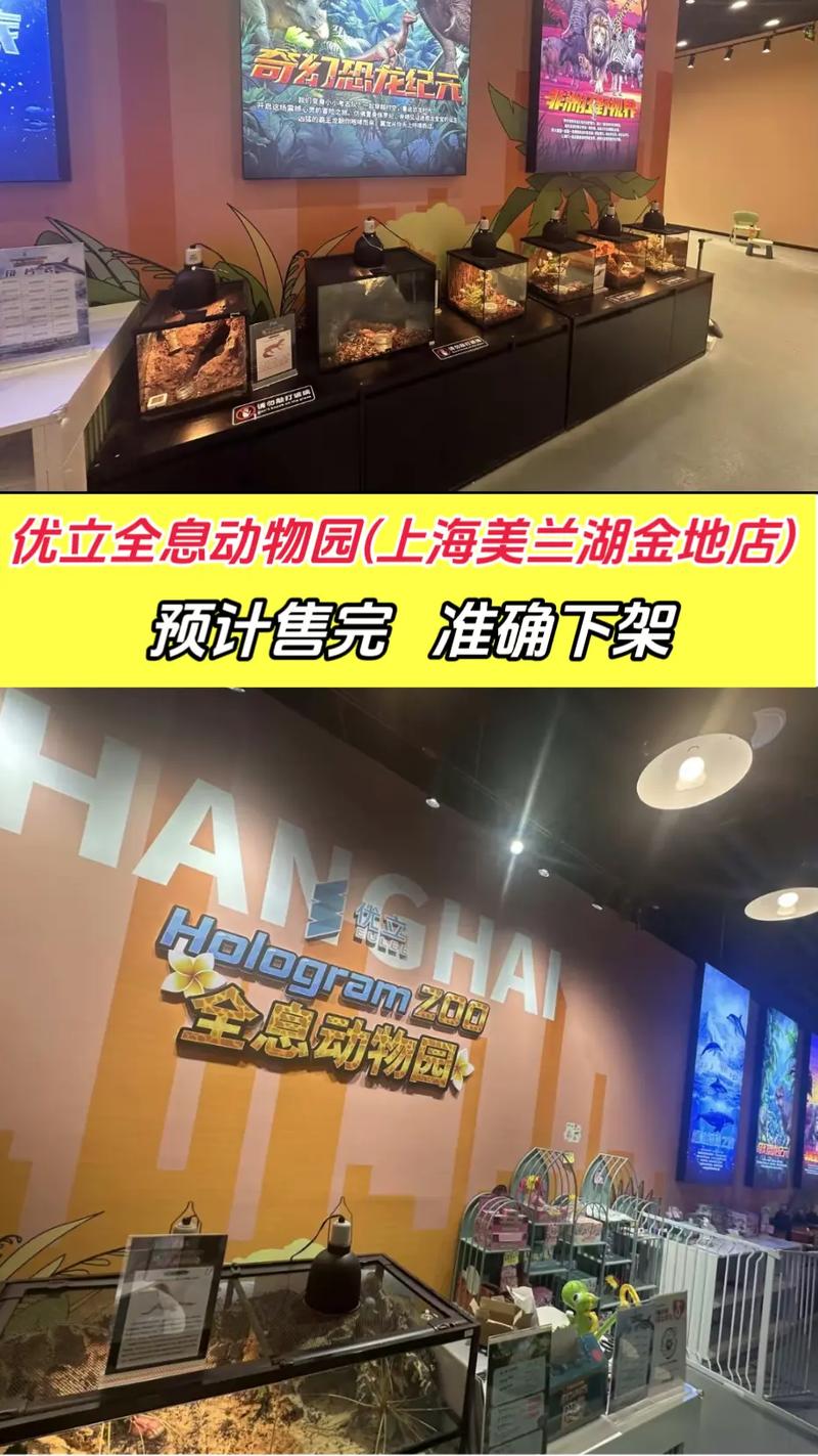 包含全息投影宠物的词条